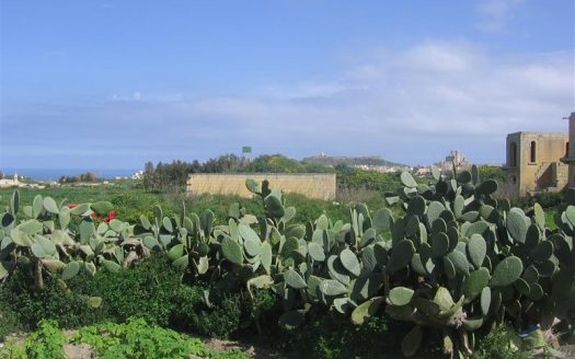 Terrains à Gozo San Lawrenz