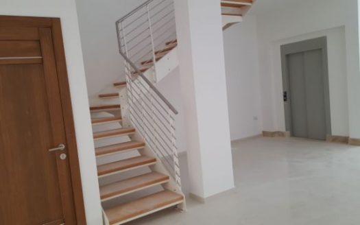 Showroom à Birkirkara