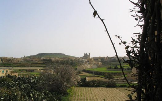 Gozo Ferme Maltaises à Gozo L-Gharb