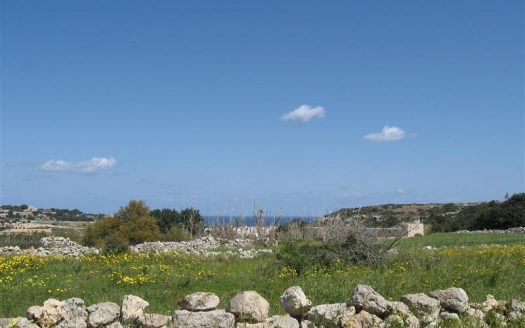 Ferme Maltaise à Bidnija