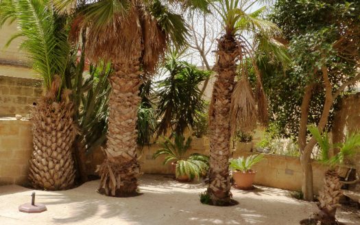 Maison de caractère à Gozo Fontana