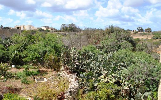 Ferme Maltaise à Gozo Xaghra