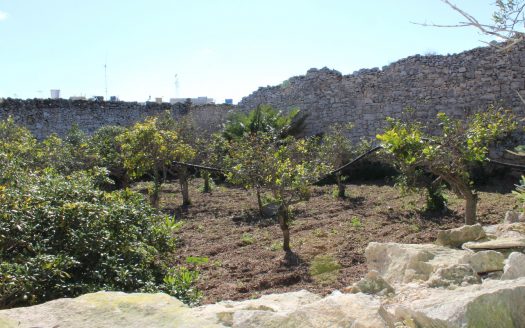 Maison de caractère à Siggiewi