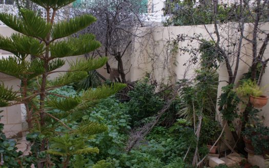 Maisons contemporaines à Mosta