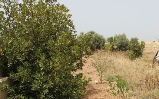 Terrains de loisir/agriculture à Mqabba