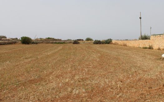 Terrains de loisir/agriculture à Mqabba