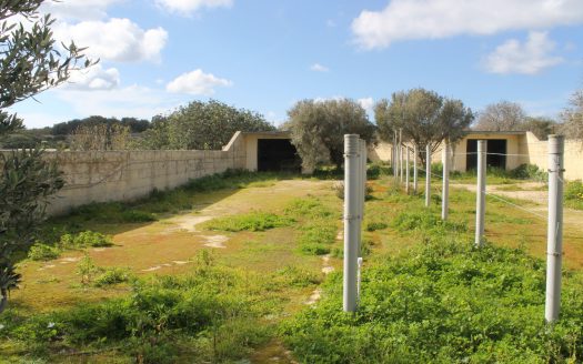 Ferme Maltaise à Buskett