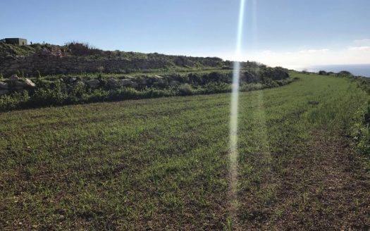 Terrains de loisir/agriculture à Siggiewi