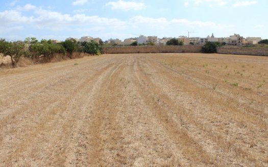 Terrains de loisir/agriculture à Siggiewi