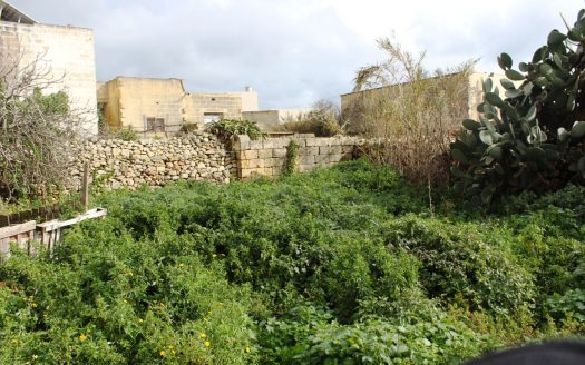 Ferme Maltaise à Gozo Ix-Xewkija