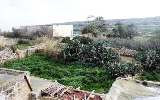 Ferme Maltaise à Gozo Ix-Xewkija