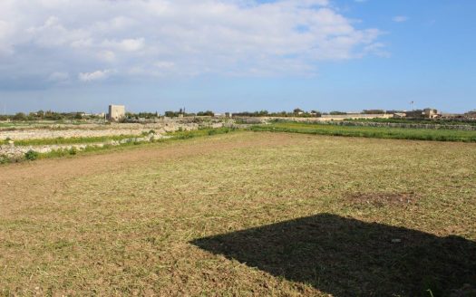 Terrains de loisir/agriculture à Siggiewi